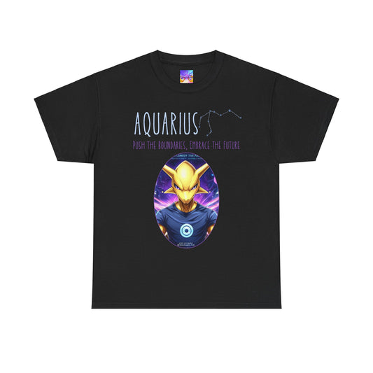 Aquarius: Push the Boundaries Tee | USA SHIPPING